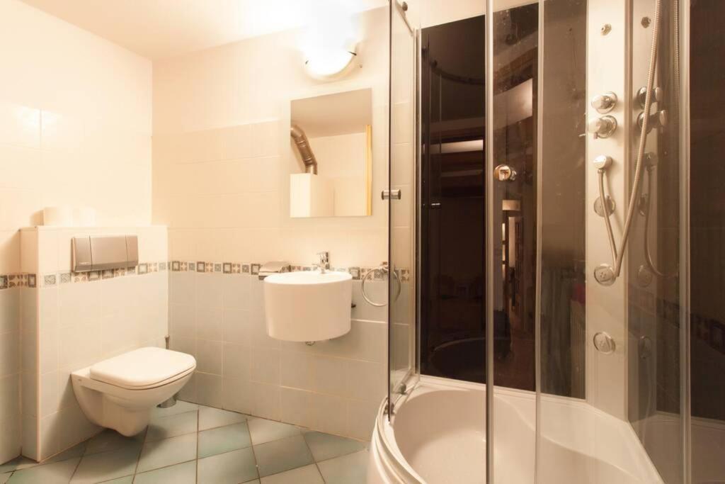 크라쿠프 Florianska Penthouse Delux 아파트 외부 사진